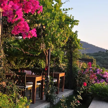 Ece Sovalye Island Hotel Fethiye