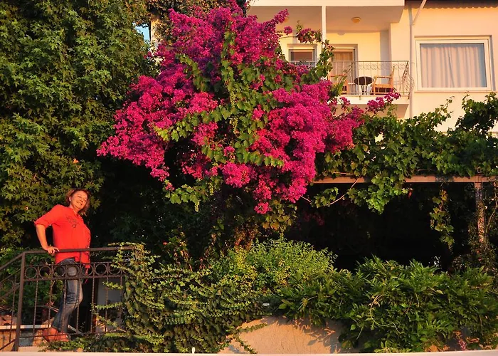 伊思索瓦利岛酒店 3* 费特希耶
