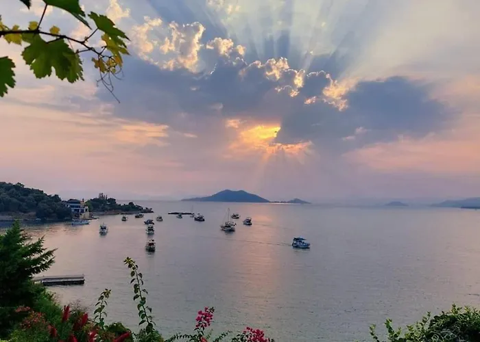 伊思索瓦利岛酒店 3* 费特希耶